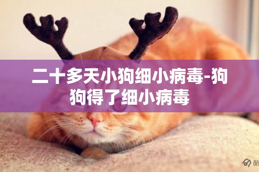 二十多天小狗細小病毒-狗狗得了細小病毒