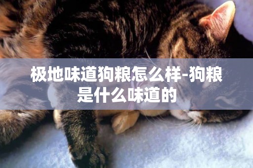 極地味道狗糧怎么樣-狗糧是什么味道的