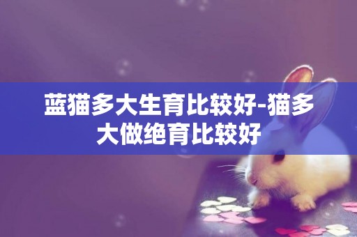 藍貓多大生育比較好-貓多大做絕育比較好