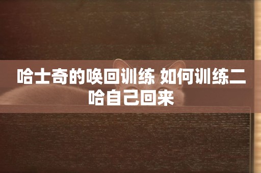 哈士奇的喚回訓練 如何訓練二哈自己回來