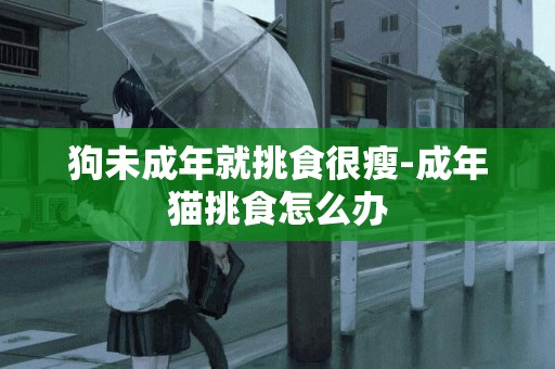 狗未成年就挑食很瘦-成年貓挑食怎么辦