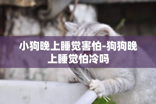 小狗晚上睡覺害怕-狗狗晚上睡覺怕冷嗎