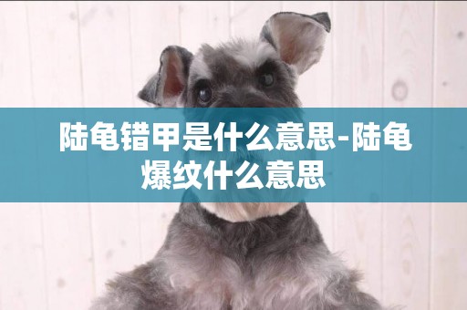 陸龜錯甲是什么意思-陸龜爆紋什么意思