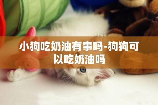 小狗吃奶油有事嗎-狗狗可以吃奶油嗎