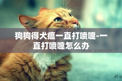 狗狗得犬瘟一直打噴嚏-一直打噴嚏怎么辦