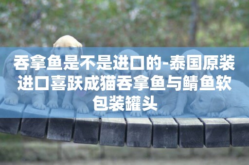 吞拿魚是不是進口的-泰國原裝進口喜躍成貓吞拿魚與鯖魚軟包裝罐頭