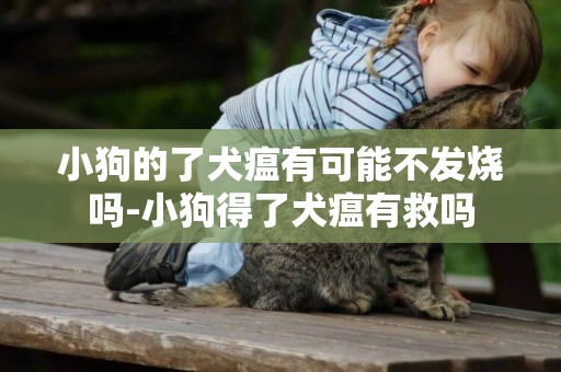 小狗的了犬瘟有可能不發燒嗎-小狗得了犬瘟有救嗎