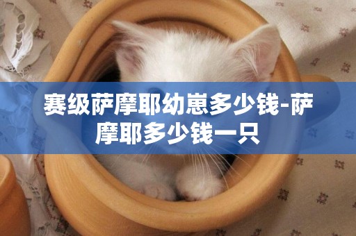 賽級薩摩耶幼崽多少錢-薩摩耶多少錢一只