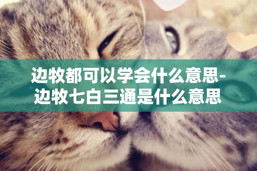 邊牧都可以學會什么意思-邊牧七白三通是什么意思