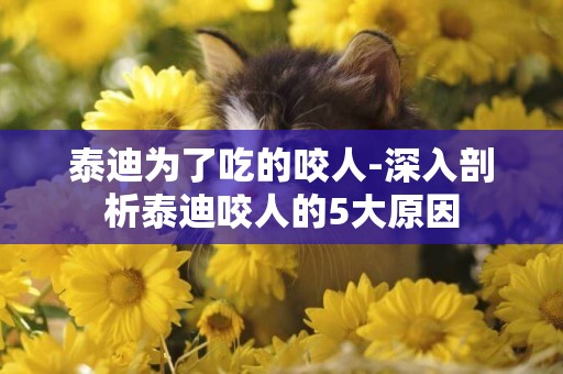 泰迪為了吃的咬人-深入剖析泰迪咬人的5大原因
