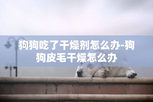 狗狗吃了干燥劑怎么辦-狗狗皮毛干燥怎么辦
