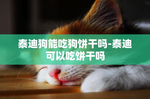 泰迪狗能吃狗餅干嗎-泰迪可以吃餅干嗎
