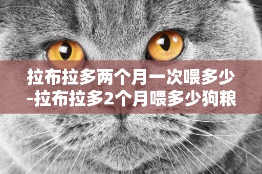 拉布拉多兩個月一次喂多少-拉布拉多2個月喂多少狗糧