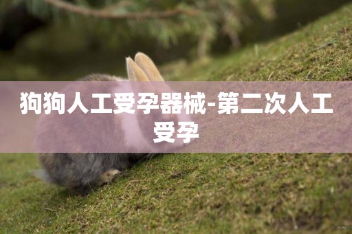 狗狗人工受孕器械-第二次人工受孕