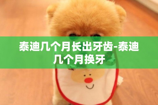 泰迪幾個月長出牙齒-泰迪幾個月換牙