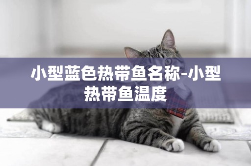 小型藍色熱帶魚名稱-小型熱帶魚溫度