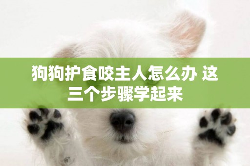 狗狗護食咬主人怎么辦 這三個步驟學起來
