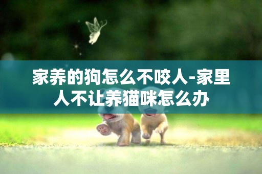 家養的狗怎么不咬人-家里人不讓養貓咪怎么辦