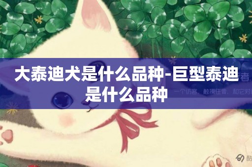 大泰迪犬是什么品種-巨型泰迪是什么品種