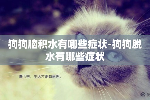 狗狗腦積水有哪些癥狀-狗狗脫水有哪些癥狀