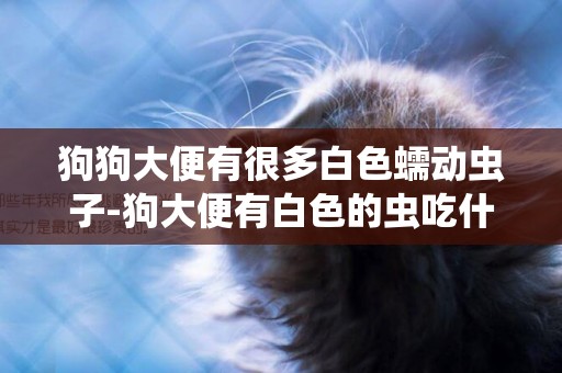 狗狗大便有很多白色蠕動蟲子-狗大便有白色的蟲吃什么藥