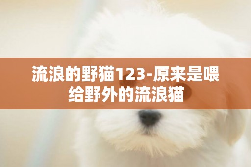 流浪的野貓123-原來是喂給野外的流浪貓