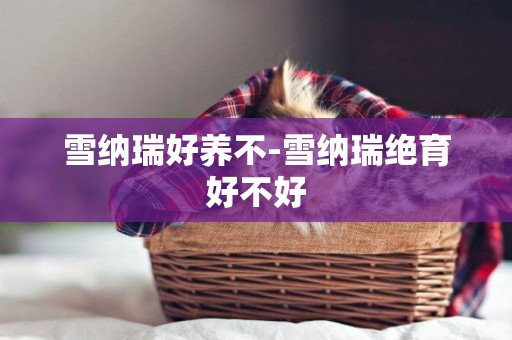 雪納瑞好養不-雪納瑞絕育好不好