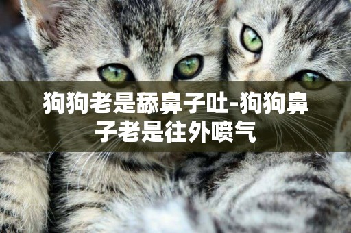 狗狗老是舔鼻子吐-狗狗鼻子老是往外噴氣