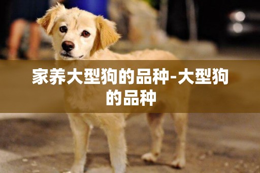 家養大型狗的品種-大型狗的品種