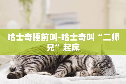 哈士奇睡前叫-哈士奇叫“二師兄”起床