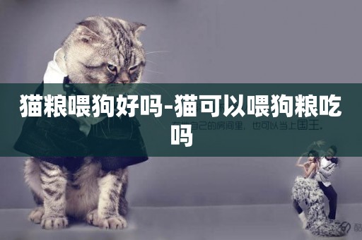 貓糧喂狗好嗎-貓可以喂狗糧吃嗎