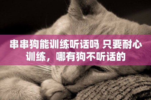 串串狗能訓練聽話嗎 只要耐心訓練，哪有狗不聽話的