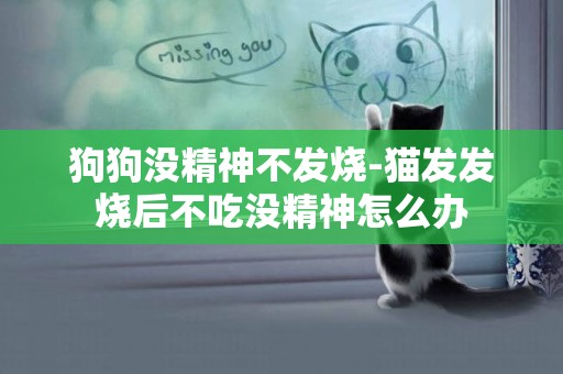 狗狗沒精神不發燒-貓發發燒后不吃沒精神怎么辦