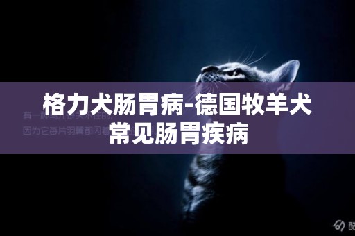 格力犬腸胃病-德國牧羊犬常見腸胃疾病