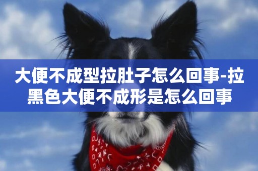 大便不成型拉肚子怎么回事-拉黑色大便不成形是怎么回事