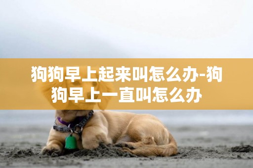 狗狗早上起來叫怎么辦-狗狗早上一直叫怎么辦