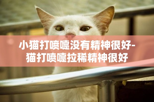 小貓打噴嚏沒有精神很好-貓打噴嚏拉稀精神很好