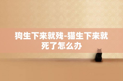 狗生下來就殘-貓生下來就死了怎么辦