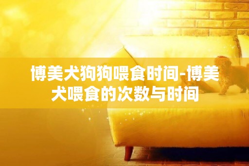 博美犬狗狗喂食時間-博美犬喂食的次數與時間
