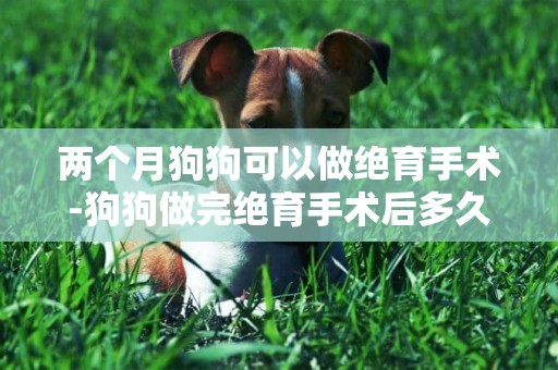 兩個月狗狗可以做絕育手術-狗狗做完絕育手術后多久可以活動