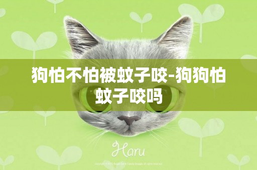 狗怕不怕被蚊子咬-狗狗怕蚊子咬嗎