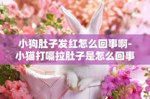 小狗肚子發紅怎么回事啊-小貓打嗝拉肚子是怎么回事啊