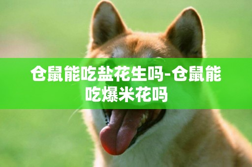 倉鼠能吃鹽花生嗎-倉鼠能吃爆米花嗎