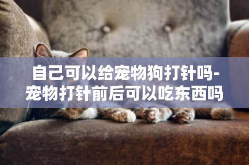 自己可以給寵物狗打針嗎-寵物打針前后可以吃東西嗎