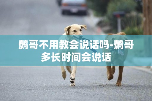 鷯哥不用教會說話嗎-鷯哥多長時間會說話