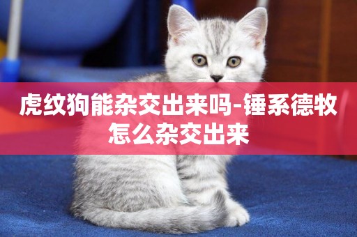 虎紋狗能雜交出來嗎-錘系德牧怎么雜交出來