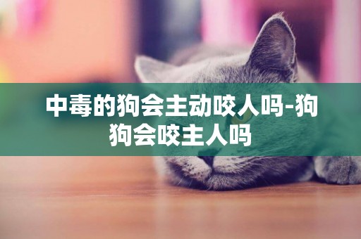 中毒的狗會主動咬人嗎-狗狗會咬主人嗎