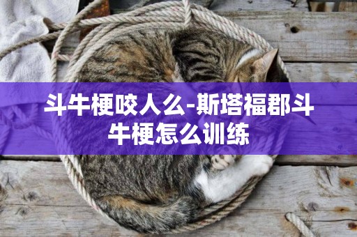 斗牛梗咬人么-斯塔福郡斗牛梗怎么訓練