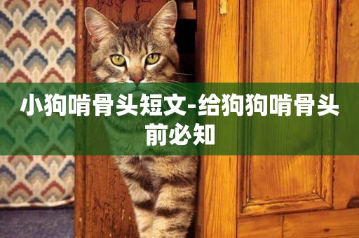小狗啃骨頭短文-給狗狗啃骨頭前必知