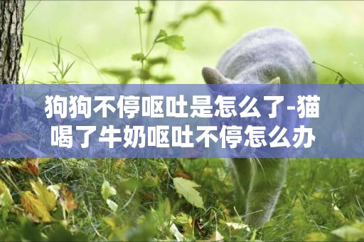 狗狗不停嘔吐是怎么了-貓喝了牛奶嘔吐不停怎么辦